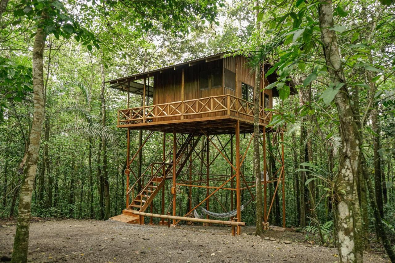 Tree Houses Hotel Costa Rica Florencia Kültér fotó