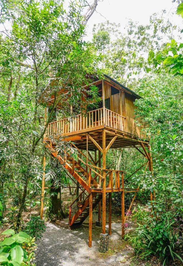 Tree Houses Hotel Costa Rica Florencia Kültér fotó