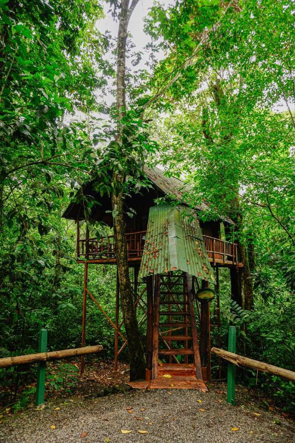 Tree Houses Hotel Costa Rica Florencia Kültér fotó