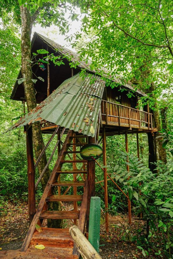 Tree Houses Hotel Costa Rica Florencia Kültér fotó