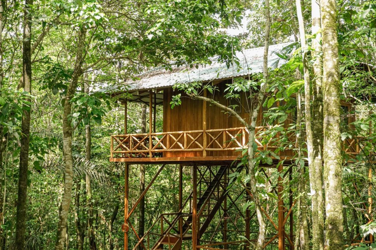Tree Houses Hotel Costa Rica Florencia Kültér fotó