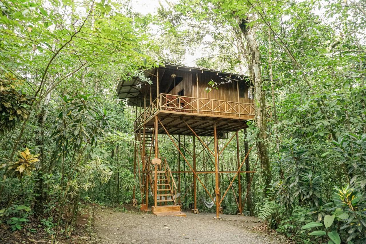 Tree Houses Hotel Costa Rica Florencia Kültér fotó