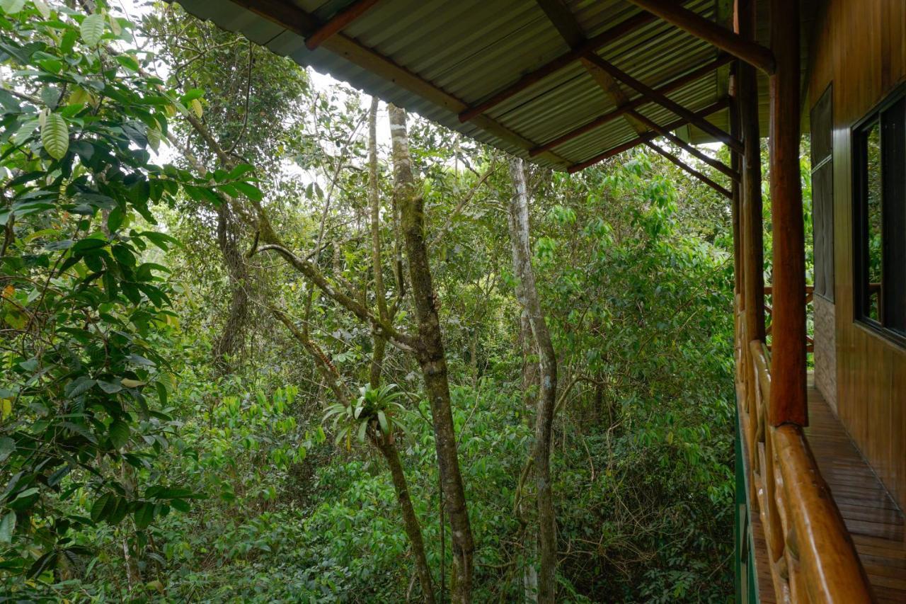 Tree Houses Hotel Costa Rica Florencia Kültér fotó