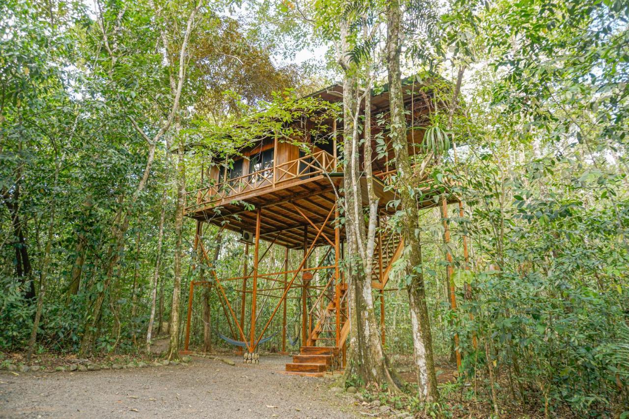 Tree Houses Hotel Costa Rica Florencia Kültér fotó