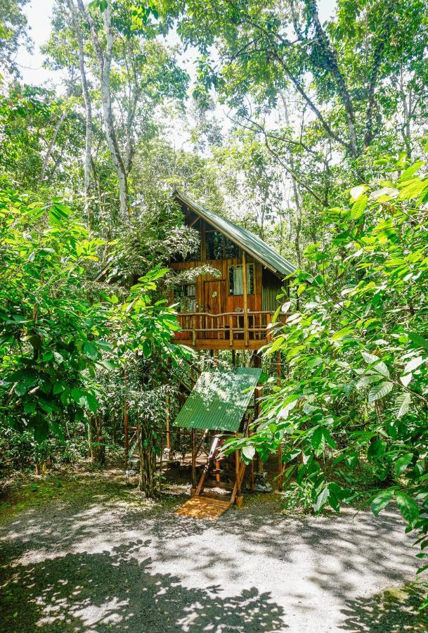 Tree Houses Hotel Costa Rica Florencia Kültér fotó
