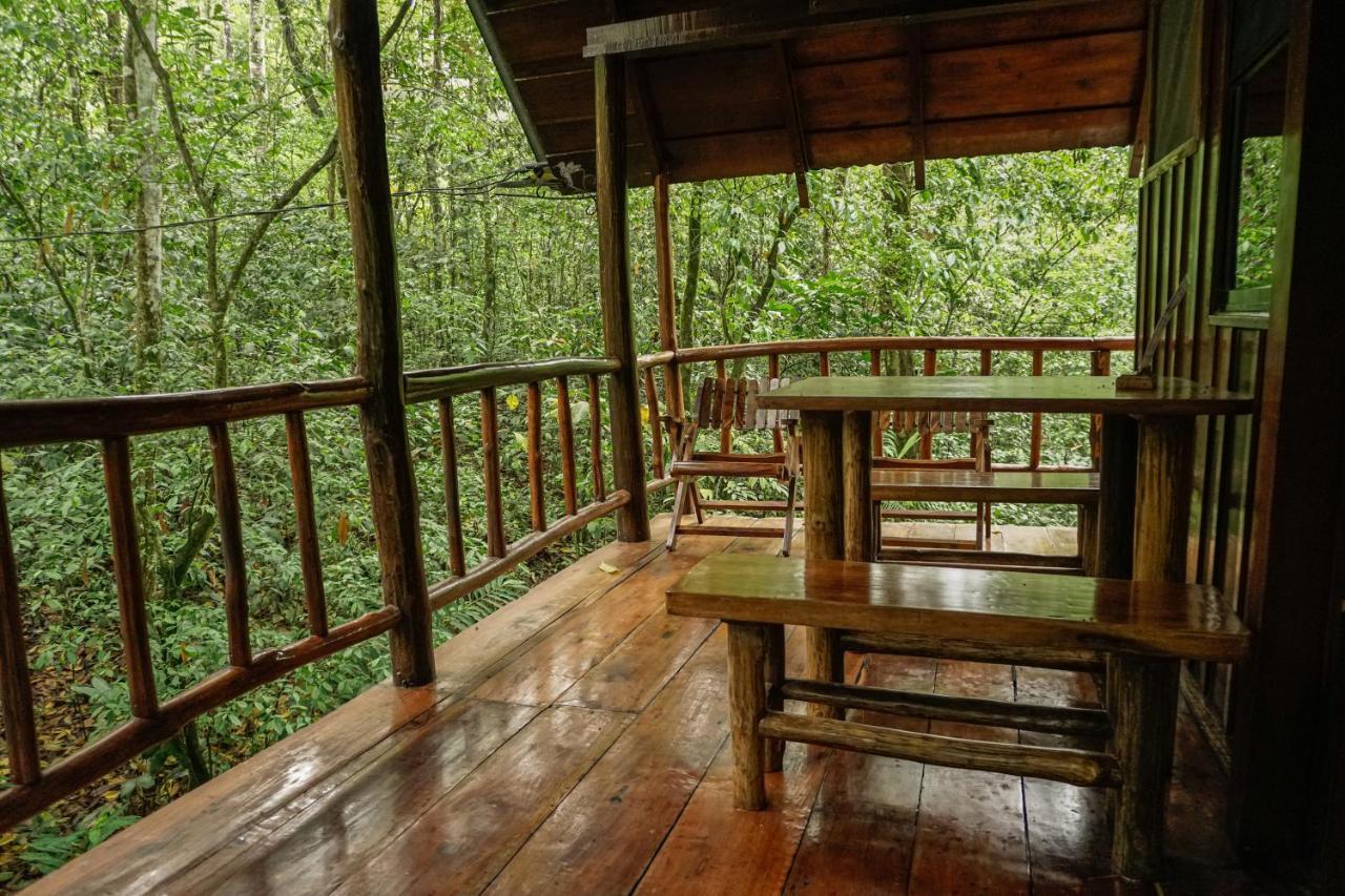 Tree Houses Hotel Costa Rica Florencia Kültér fotó