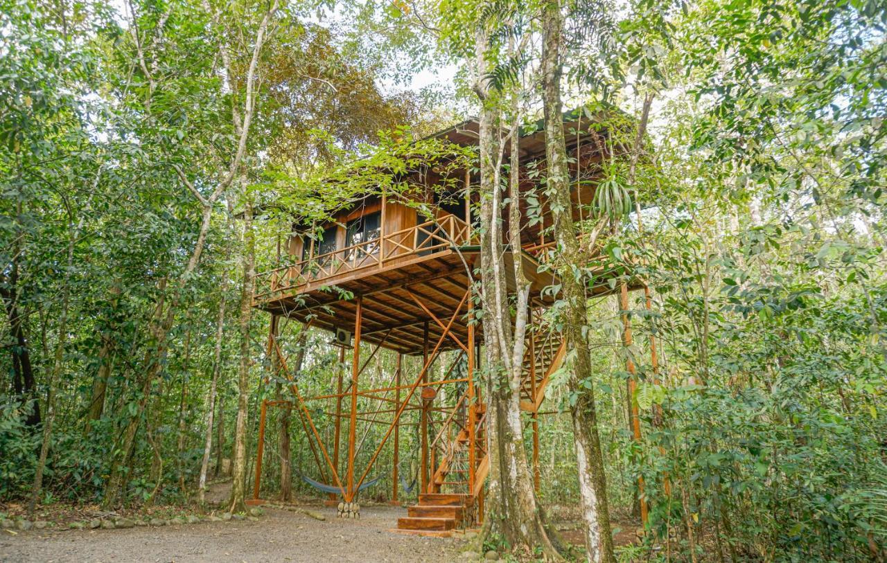 Tree Houses Hotel Costa Rica Florencia Kültér fotó