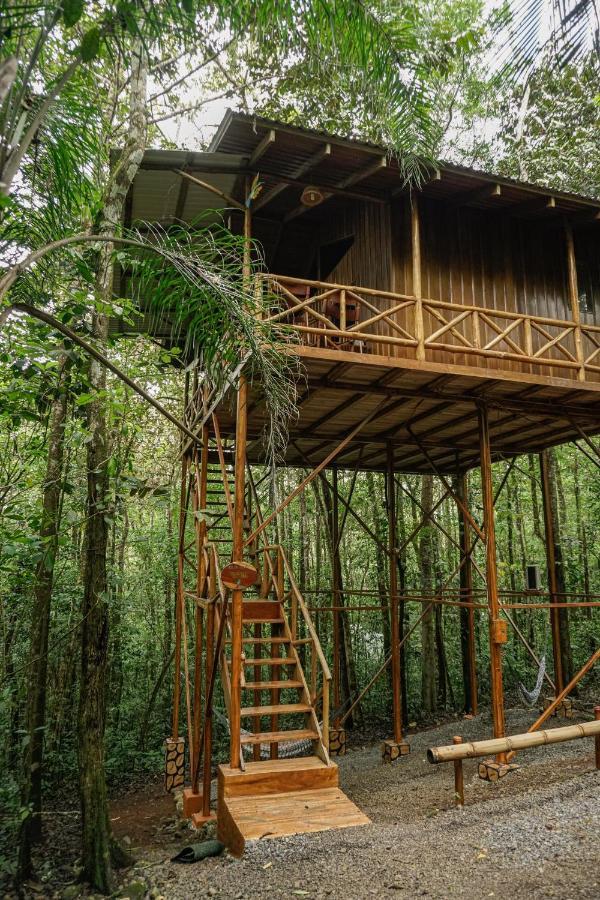 Tree Houses Hotel Costa Rica Florencia Kültér fotó