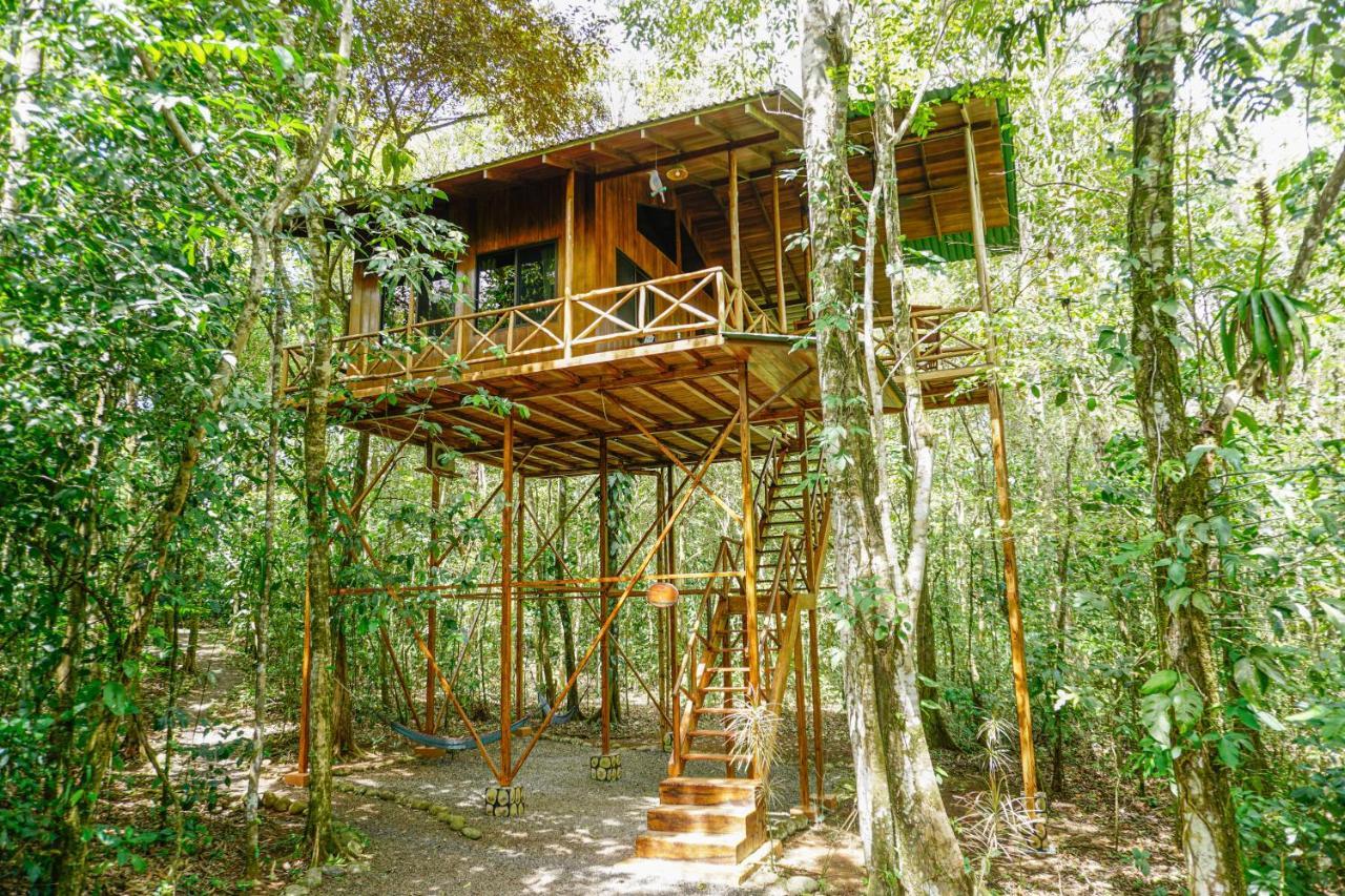 Tree Houses Hotel Costa Rica Florencia Kültér fotó