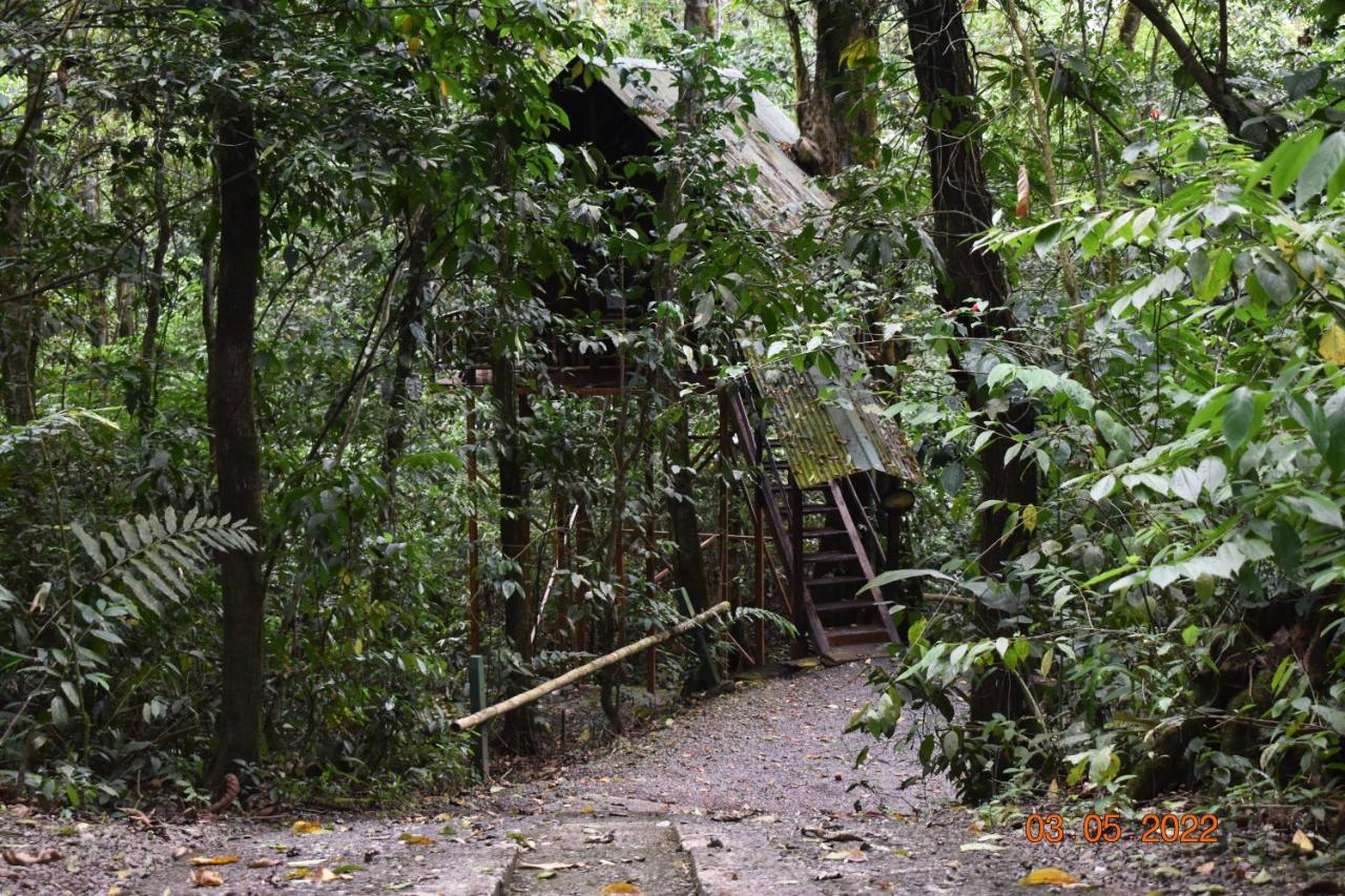 Tree Houses Hotel Costa Rica Florencia Kültér fotó
