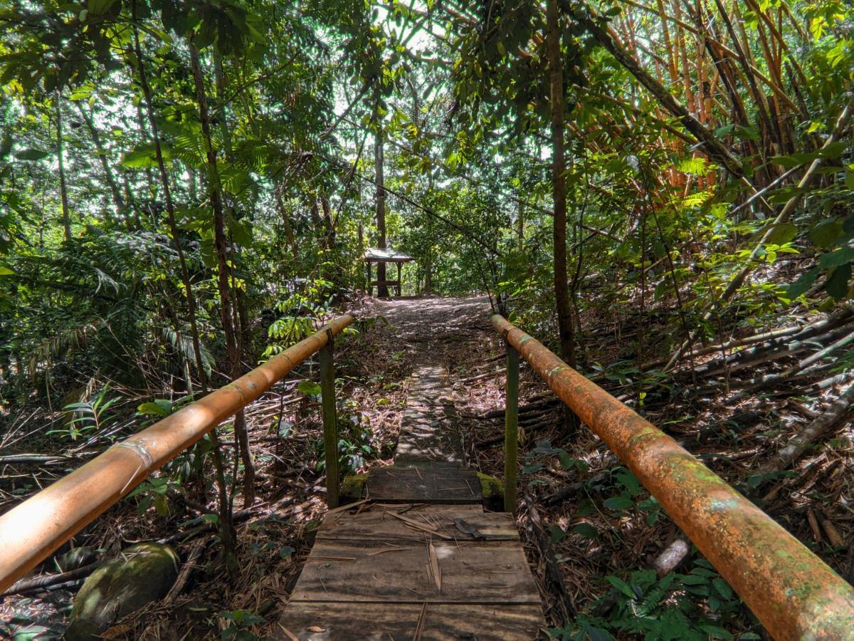 Tree Houses Hotel Costa Rica Florencia Kültér fotó