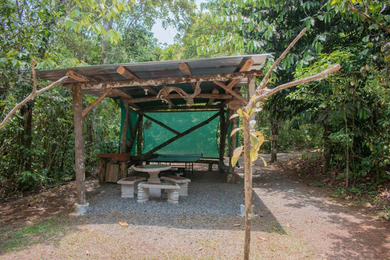 Tree Houses Hotel Costa Rica Florencia Kültér fotó